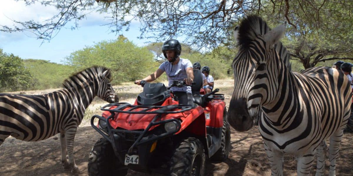 Casela World of Adventures — Activity in Mauritius