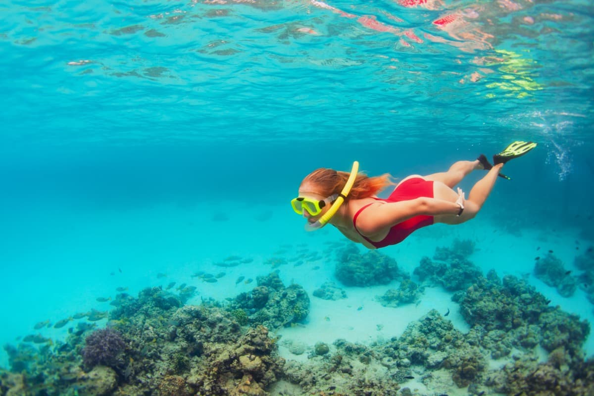 Snorkelling in Blue Bay Marine Park