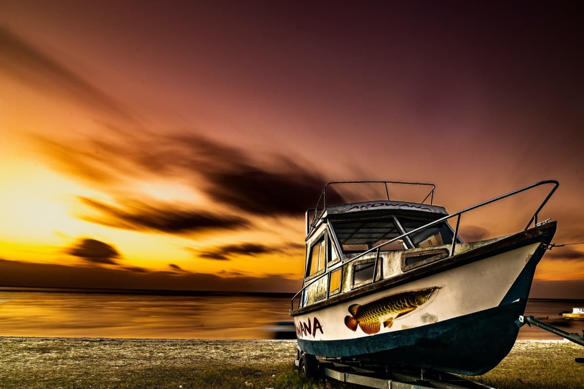 Speed Bird Charters — Boat Charter in Mauritius