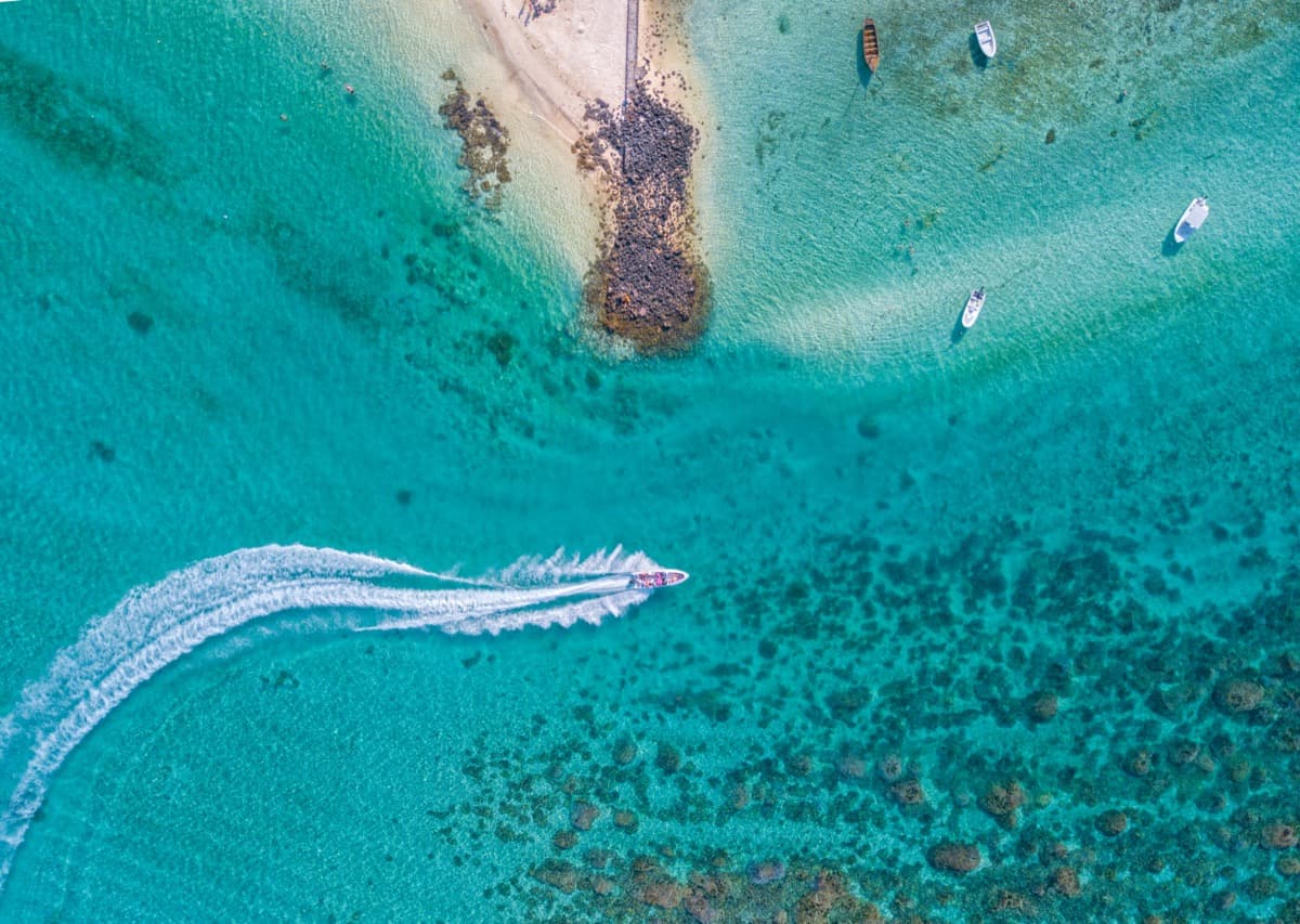Sunrise Fishing and Charter — Boat Charter in Mauritius