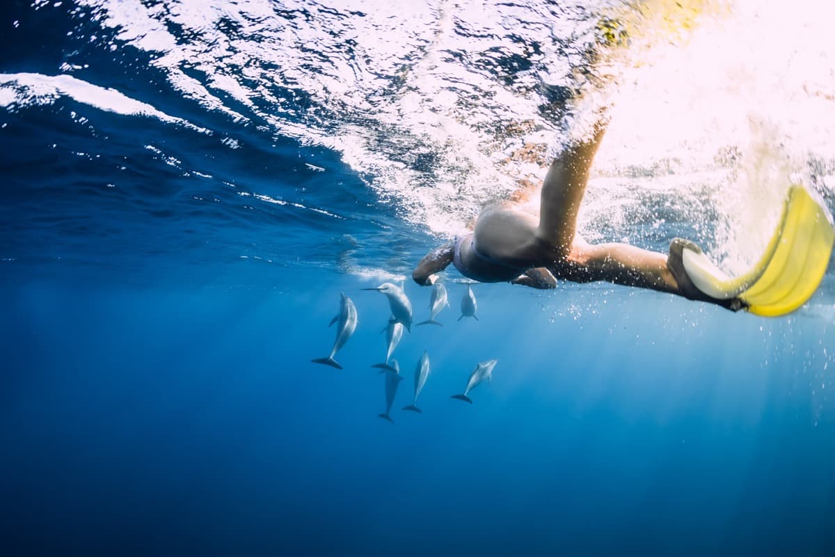 Sea Explorer Mauritius