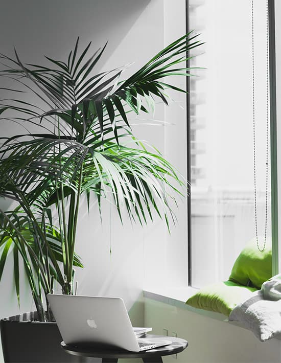 Ledgerbee Accounting Solutions