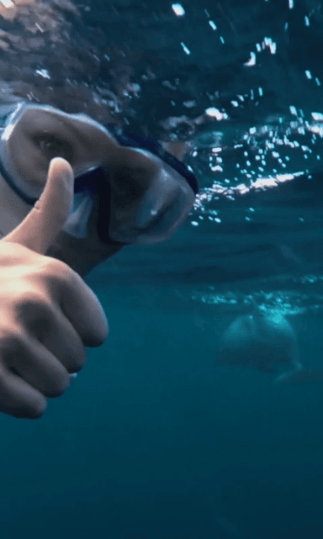 Dolphin Warrior (Dolphin and Whale excursion)
