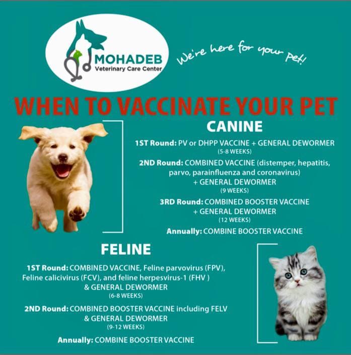 Mohadeb Veterinary Care Center — Vet in Mauritius