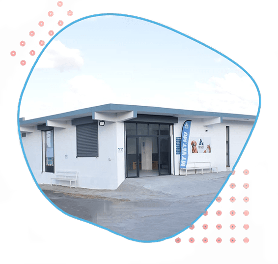MYVET - Veterinary Clinic — Vet in Mauritius