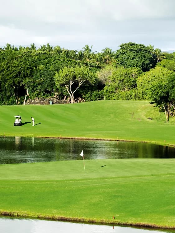 The Links