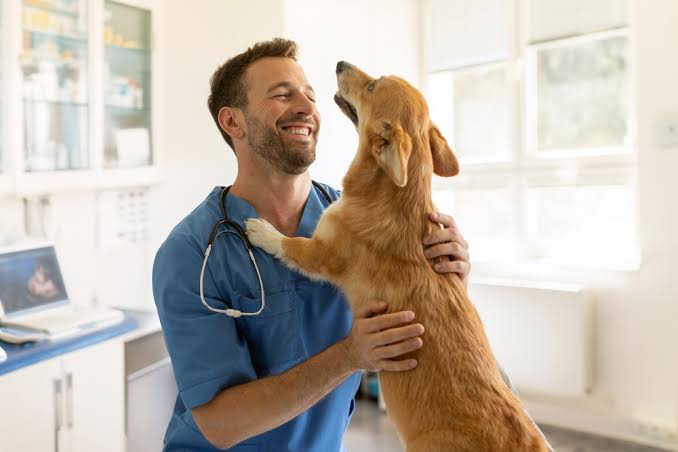 Angel Touch Veterinary Clinic